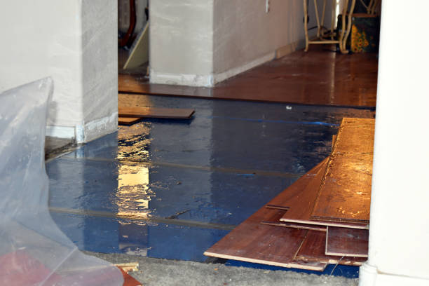 Professional Sewage Cleanup technician working in Garrison, TX